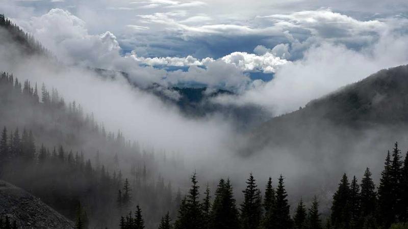 Alman Bahis ile Kazanma